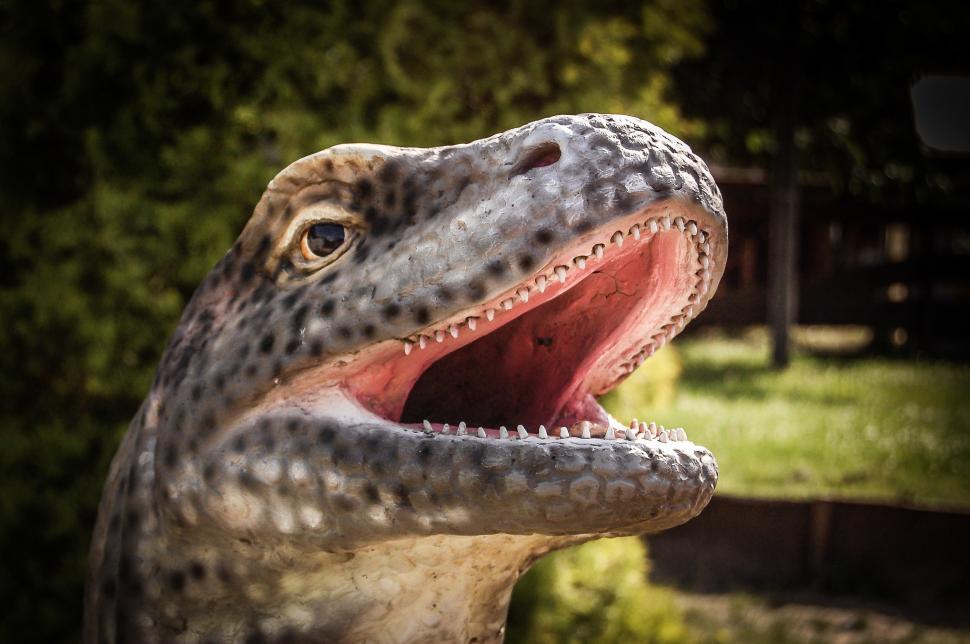 Free Image of Close Up of Dinosaur With Mouth Open 