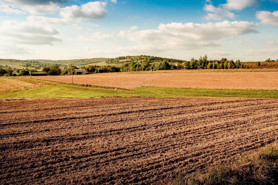 Free Image of Plowed Field With Trees in the Distance 