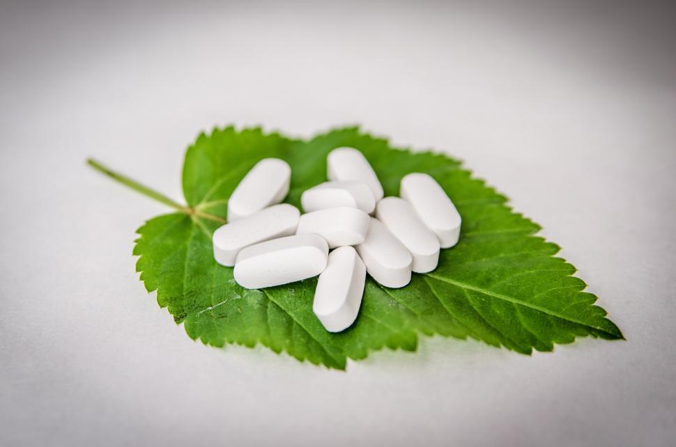 Free Image of Green Leaf With White Pills 