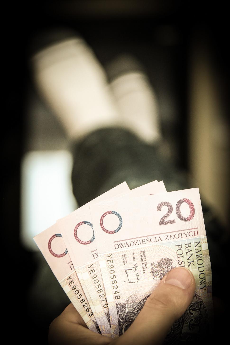 Free Image of Person Holding a Bunch of Money in Hand 