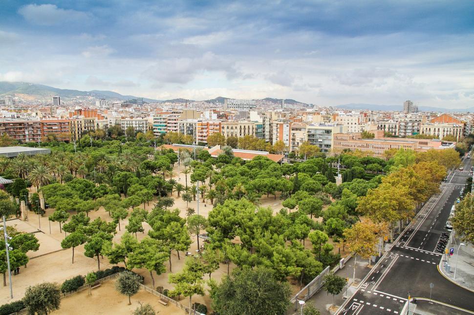 Free Image of Aerial View of Park With Trees and Buildings 