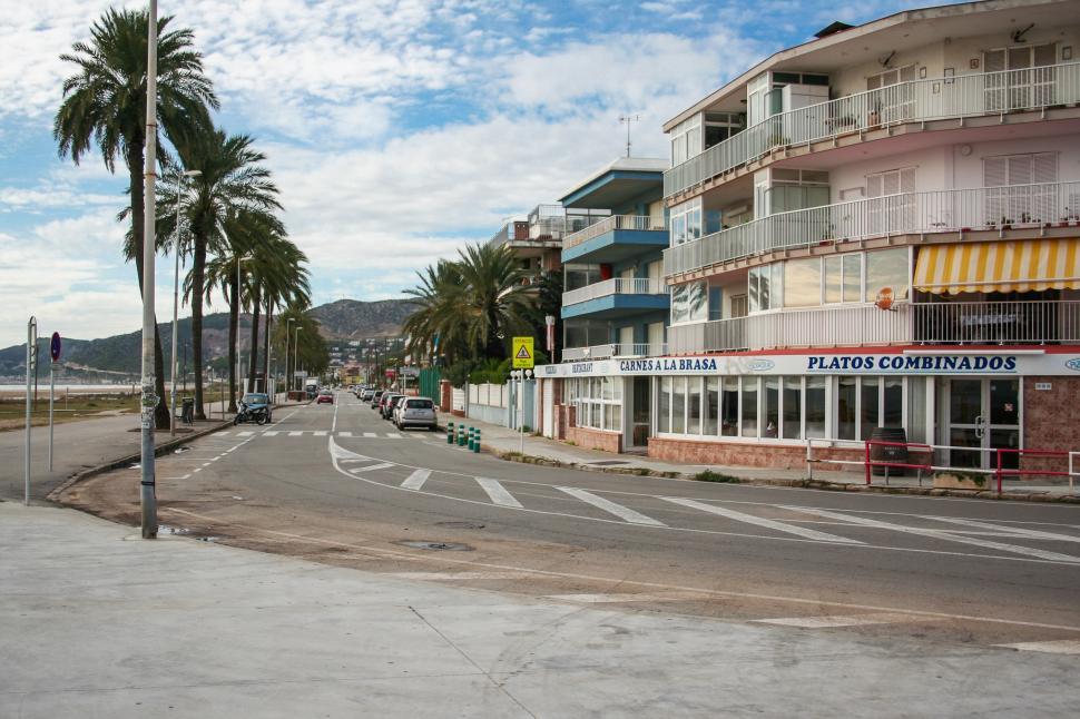 Free Image of Empty Street With Palm Trees 