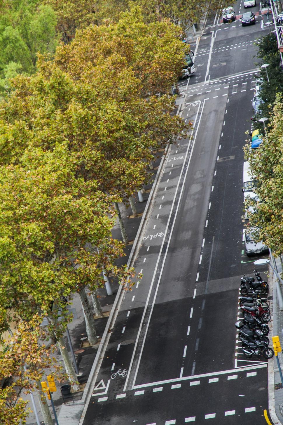 Free Image of Aerial View of City Street With Trees 