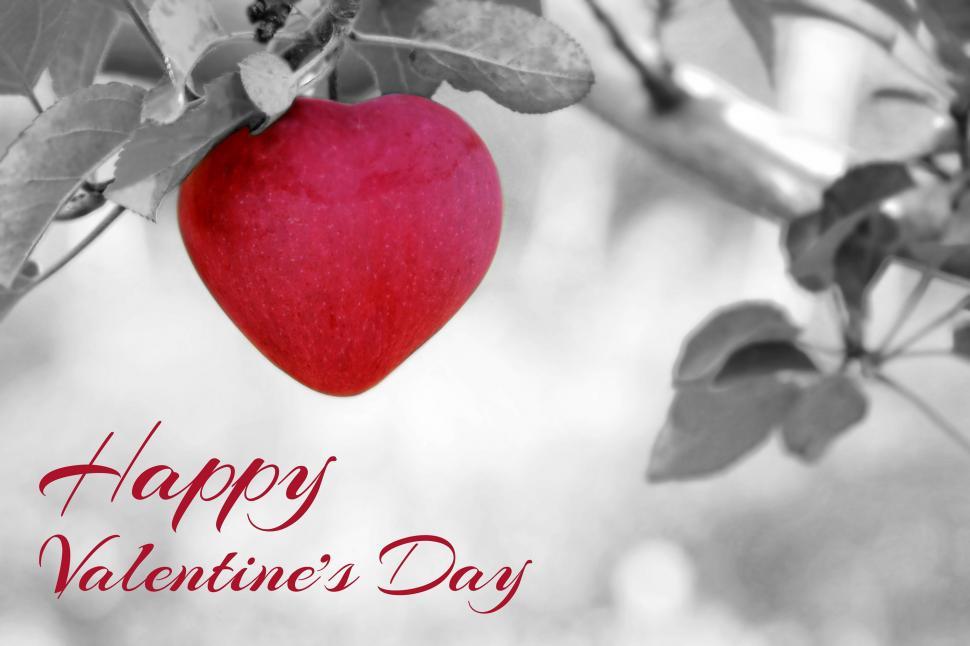 Free Image of Red Heart Hanging From Tree Branch 