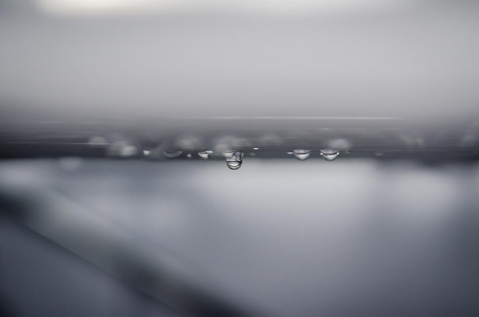 Free Image of Droplets of Water in Black and White 