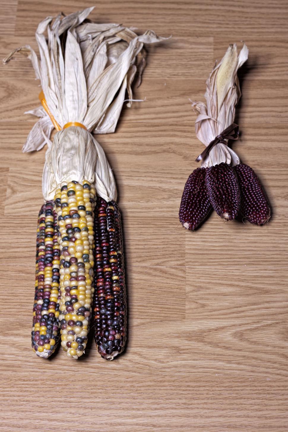 Free Image of Corn 