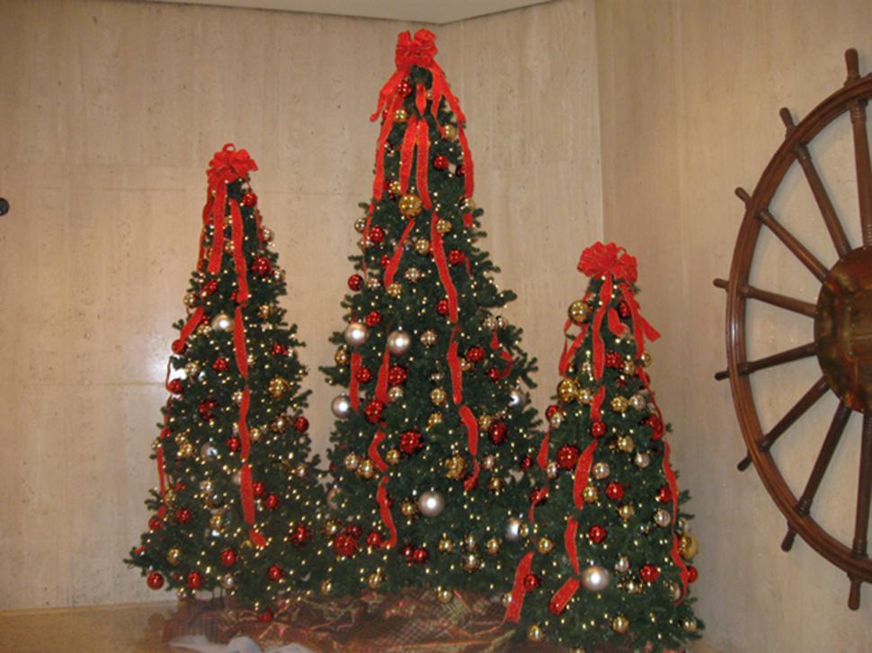 Free Image of Three Christmas Trees 