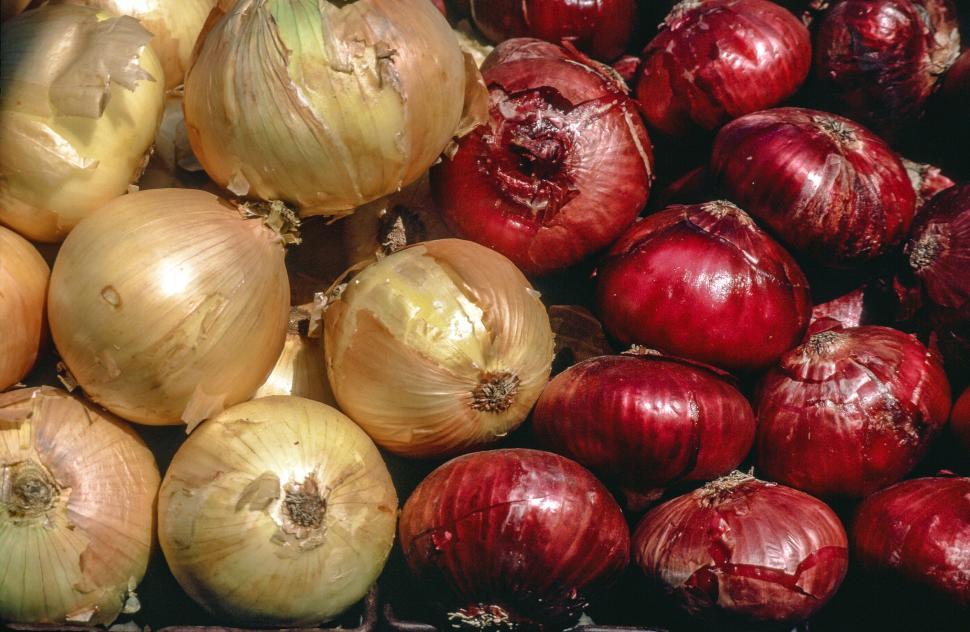 Free Image of Red Onion and Yellow Onion 