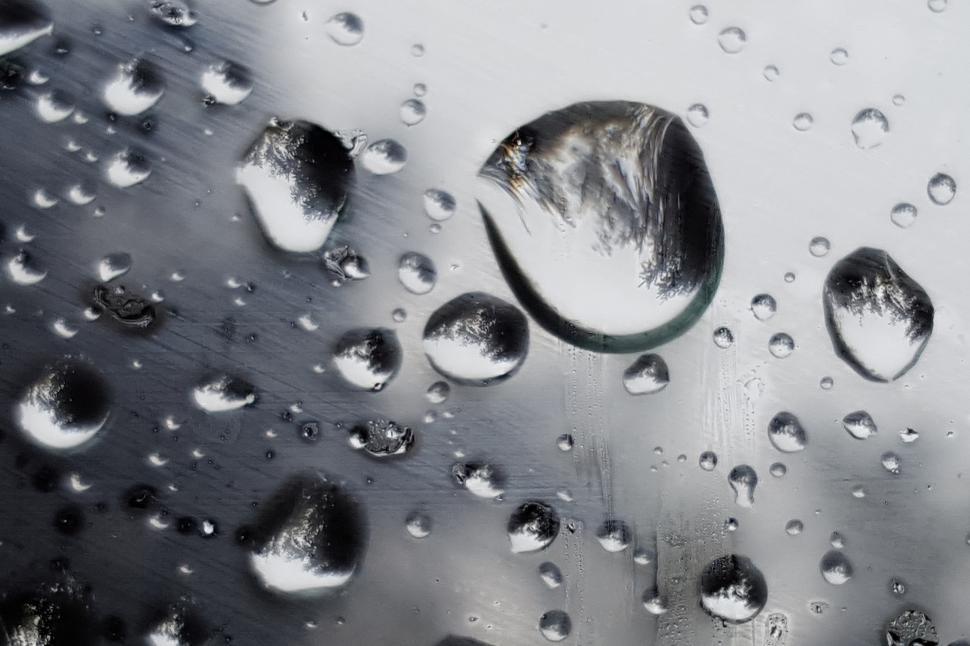 Free Image of Tree Reflections on Rain Drops 