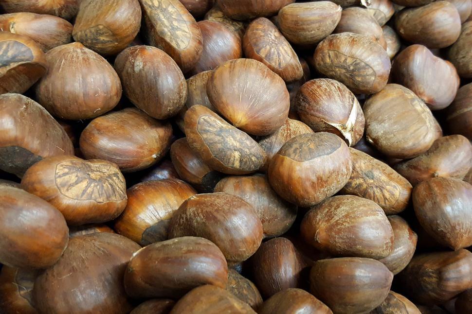 Free Image of Fresh Chestnuts 