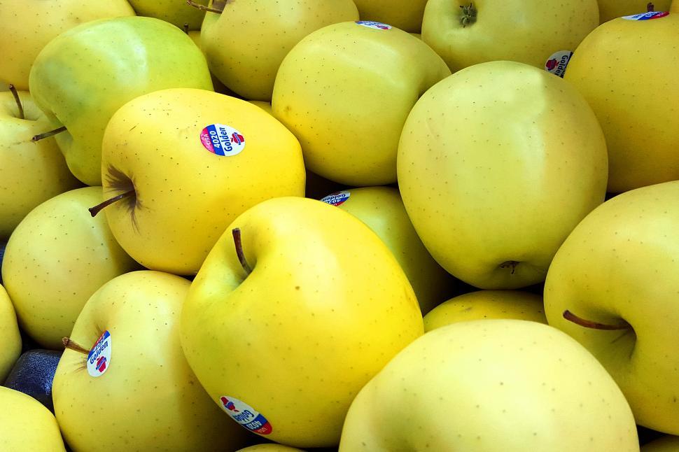 Free Image of Golden Delicious Apples 