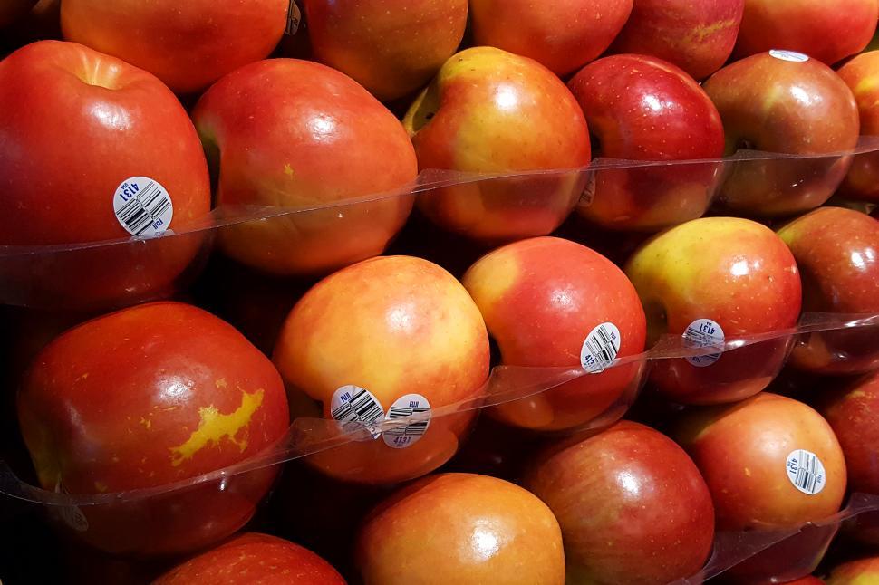 Free Image of Red Fuji Apples 