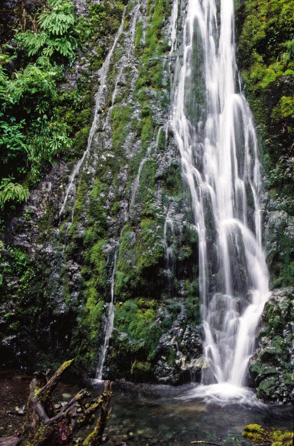 Free Image of View of Waterfall at Marymere Falls 
