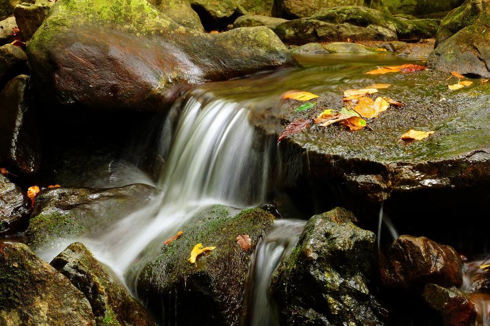 Free Image of Waterfall, Leaves and Rocks 