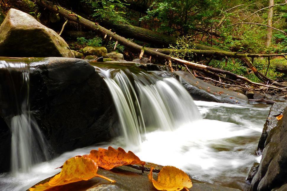 Free Image of Waterfall and Autumn Leaves 