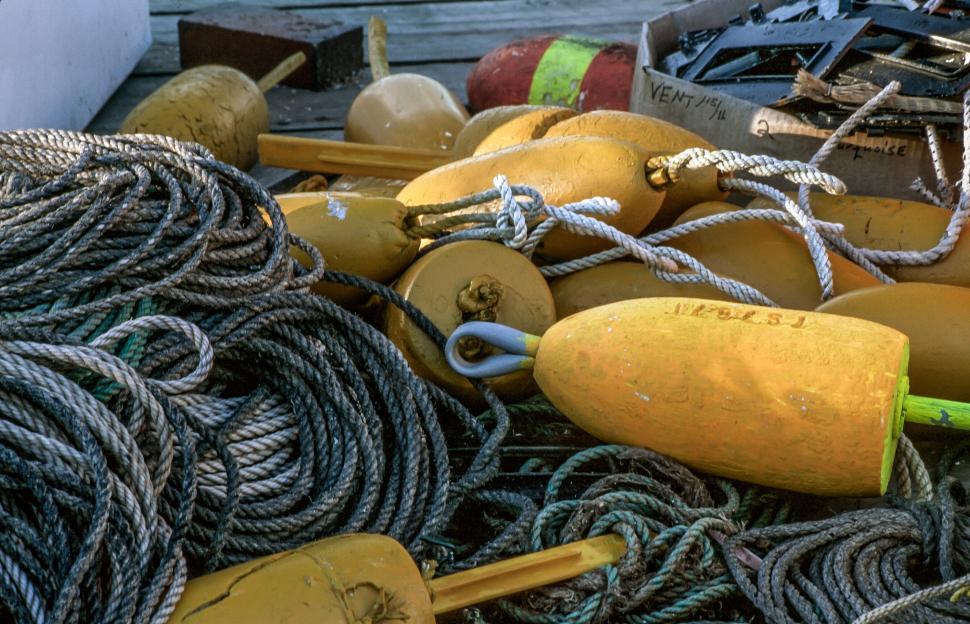 Free Image of Lobster buoys 