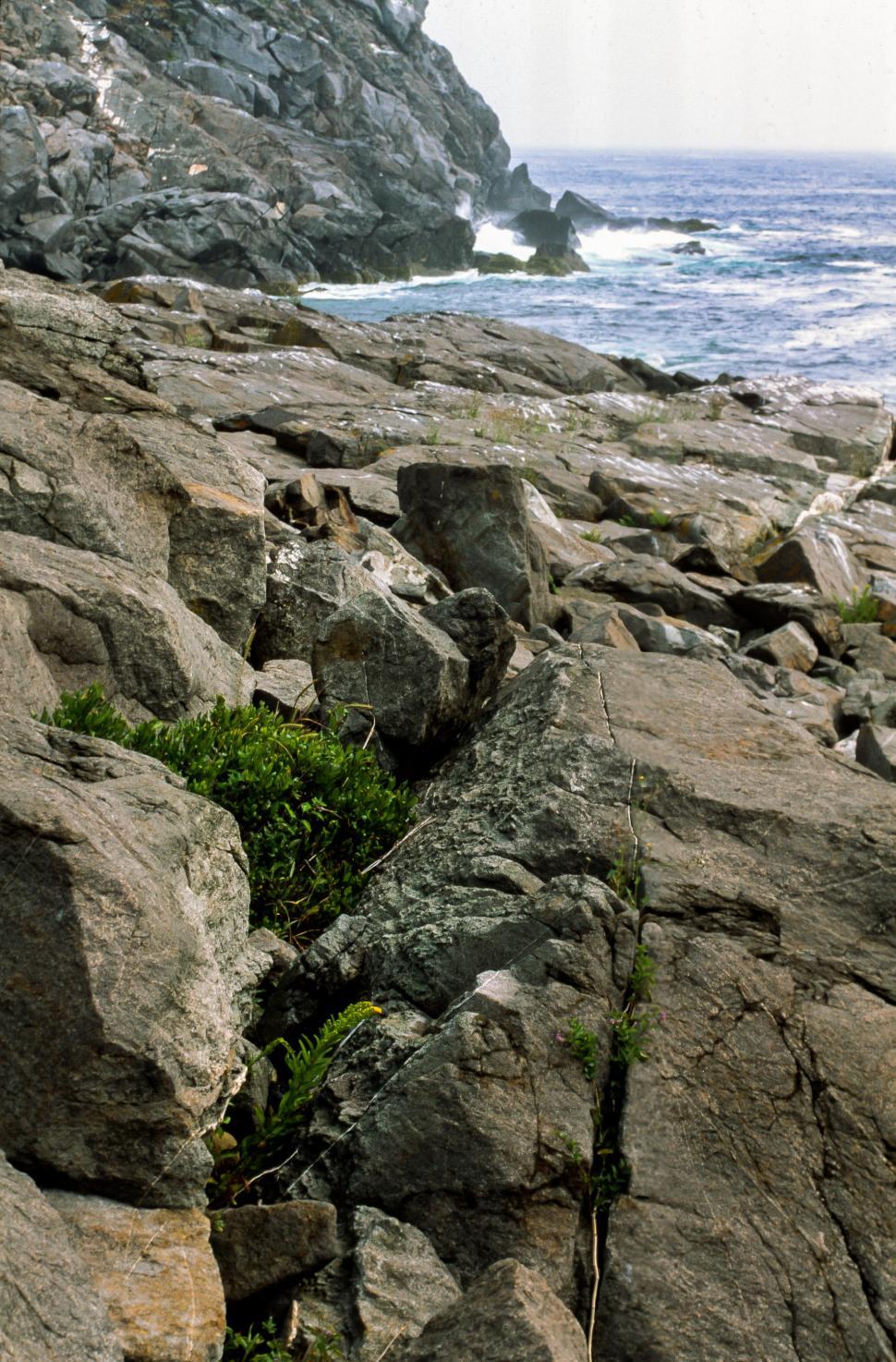 Free Image of Rocky shore 