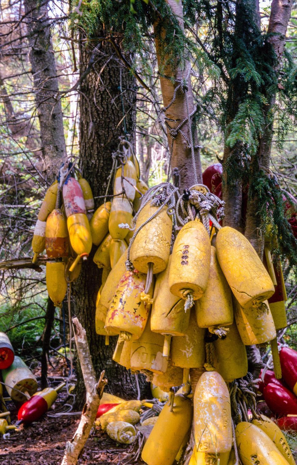Free Image of Yellow color buoys 