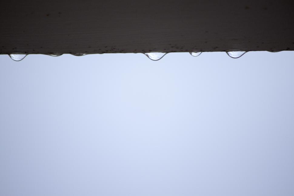 Free Image of Macro water drops 