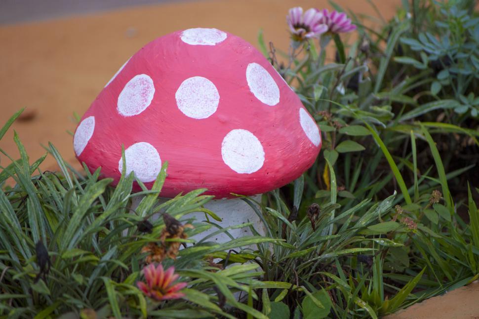 Free Image of Garden mushroom surrounded by plants 