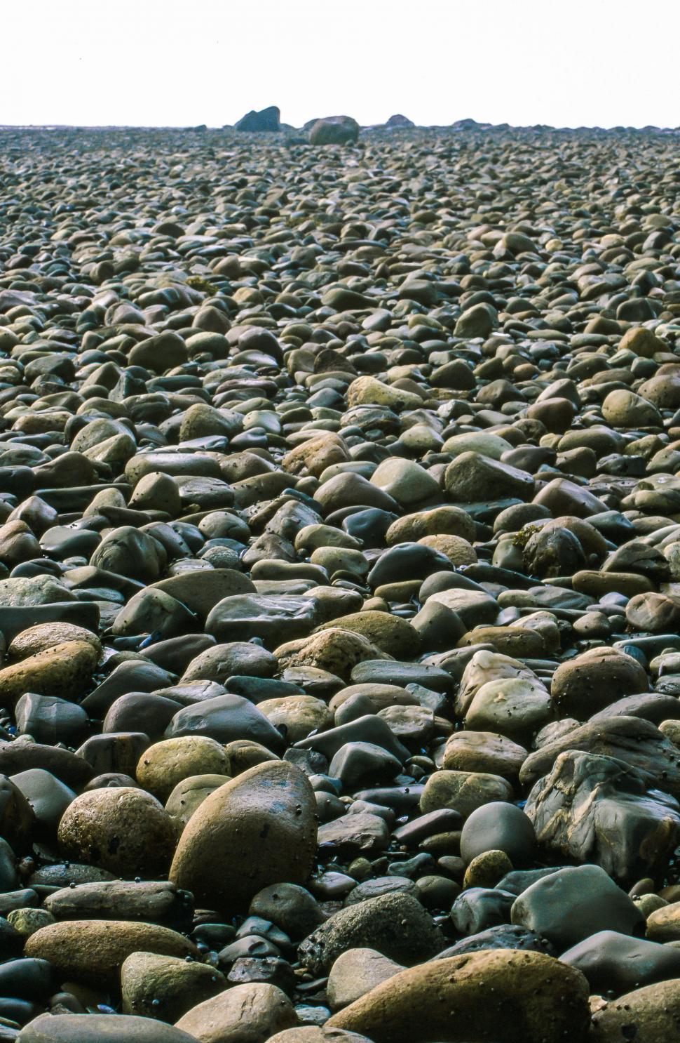 Free Image of Beach stones 