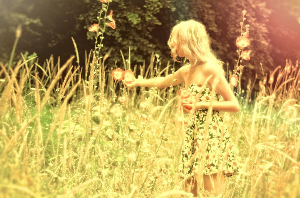 Free Image of Hazy Vintage Looks - Girl Collecting Flowers 