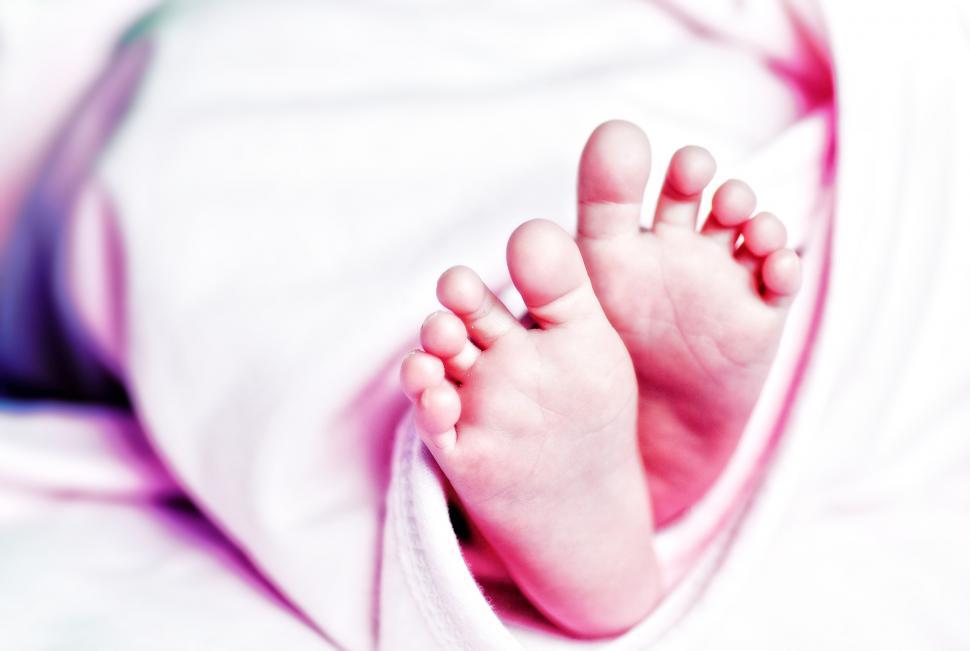 Free Image of Tiny Feet of Newborn Baby - Soft Looks 