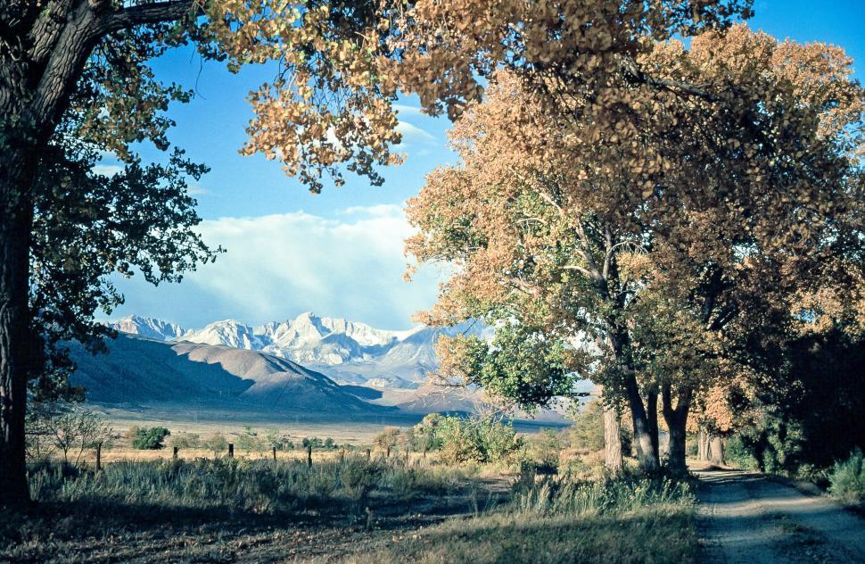 Free Image of Inyo National Forest 