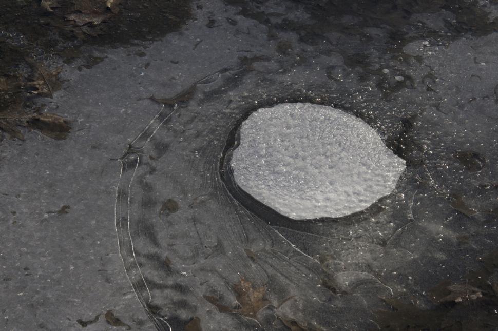 Free Image of Ice sits in a puddle 
