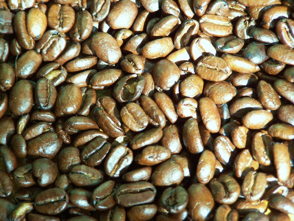 Free Image of Coffee Beans 