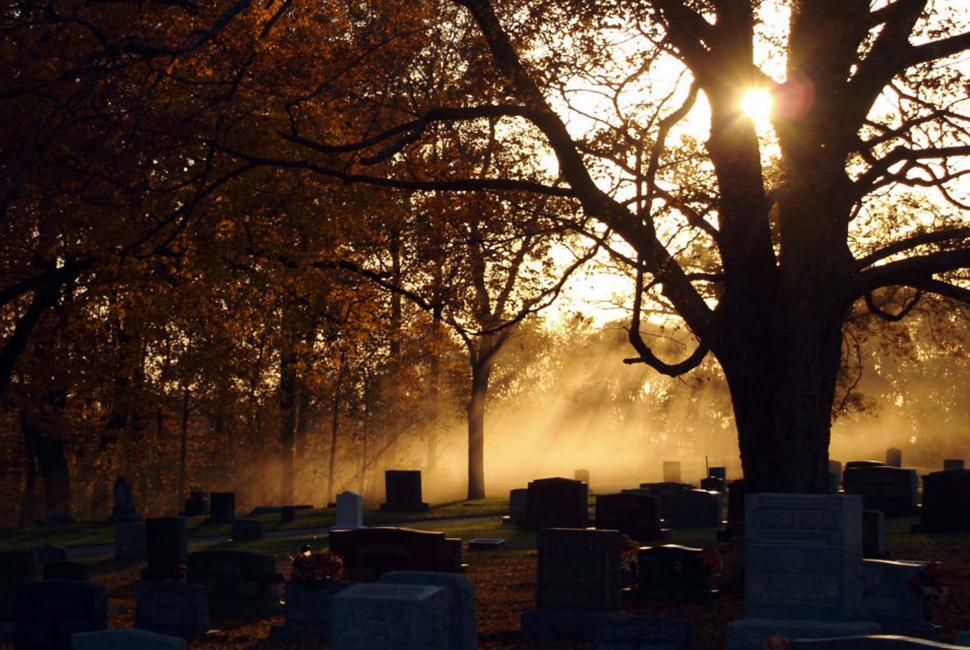 Free Image of Cemetery Haze 