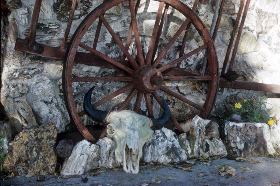 Free Image of Wagon wheel and skull with horns 