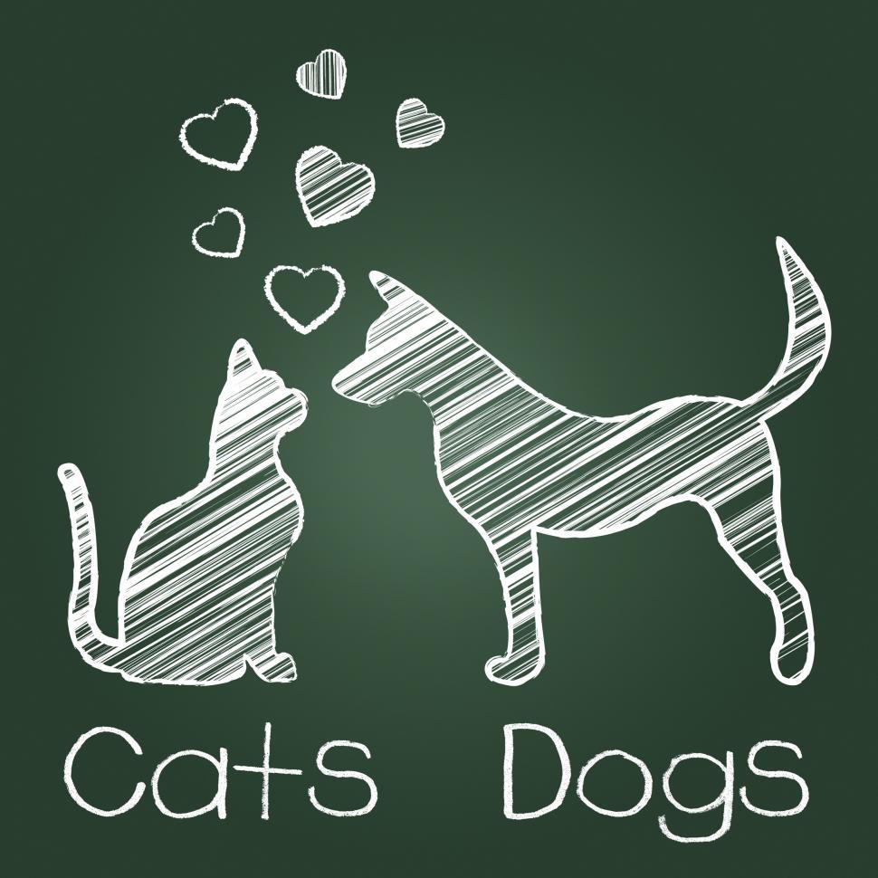 Free Image of Cats Dogs Love Shows Compassion Puppy And Kitty 
