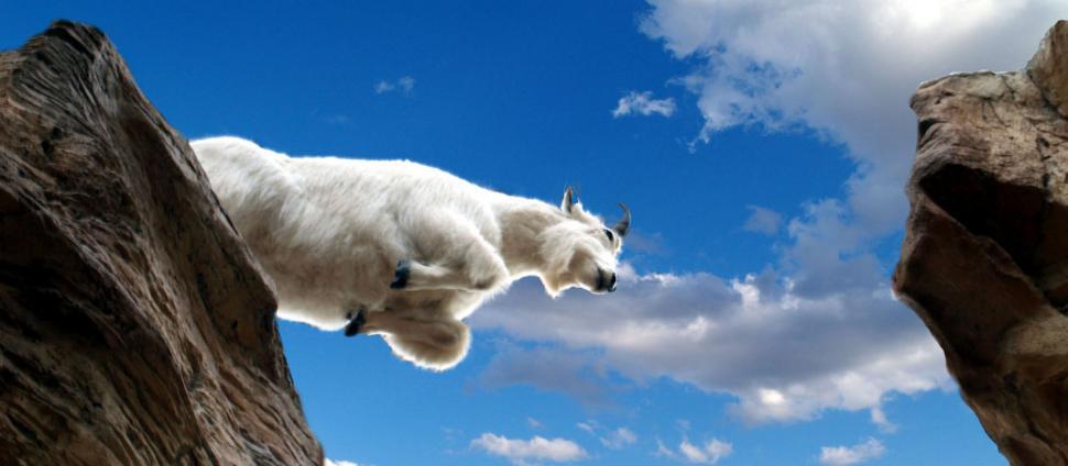 Free Image of Mountain Goat Jumping Off Cliff 