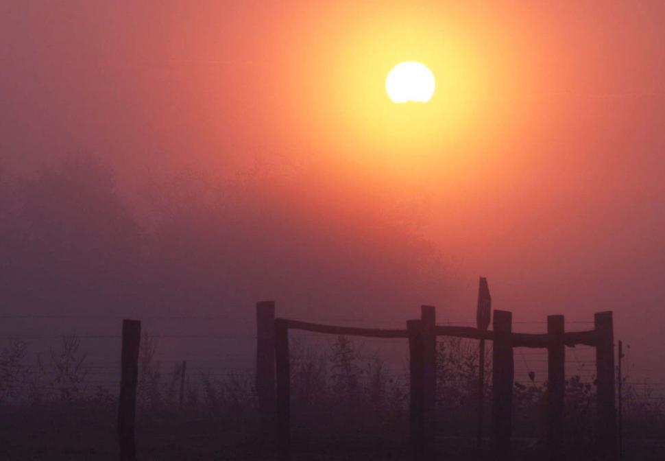 Free Image of Sun Setting Over Foggy Field 