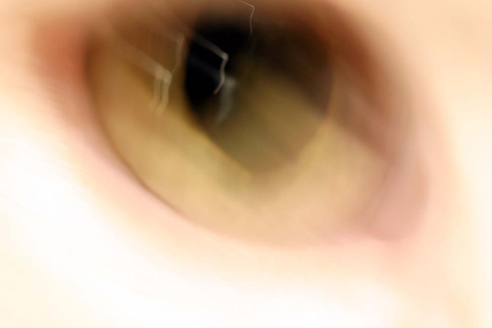 Free Image of Blurry cat eye 