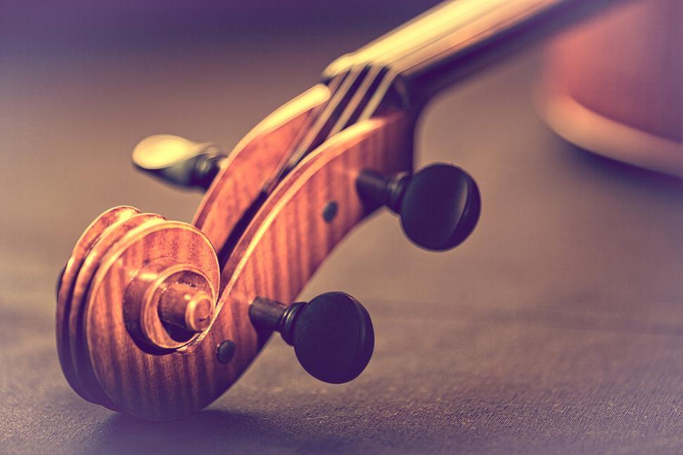 Free Image of Violin - Scroll and Pegbox Close-Up - Retro Looks Warm Colors 