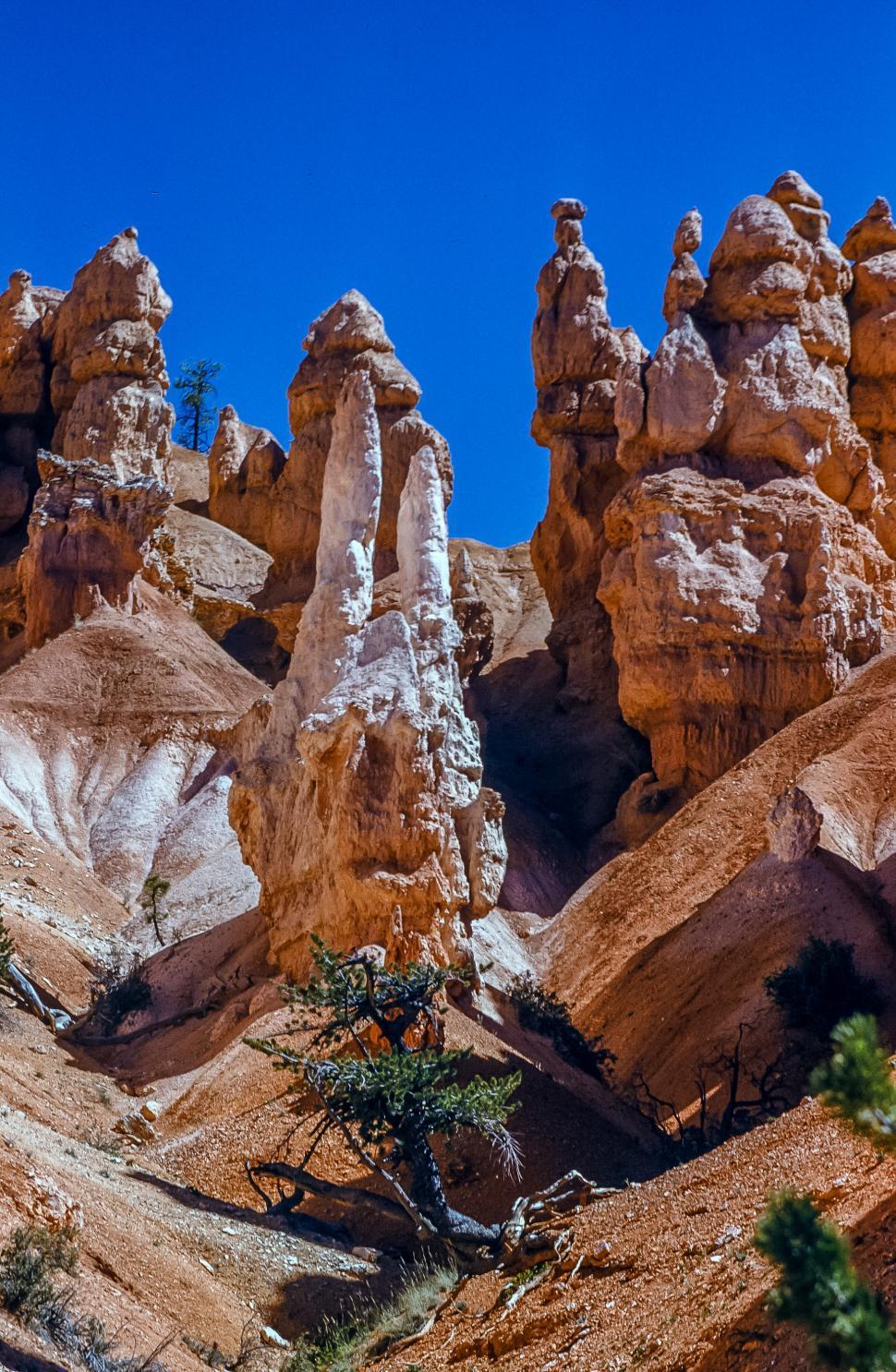 Free Image of Bryce Canyon National Park in Utah, USA 