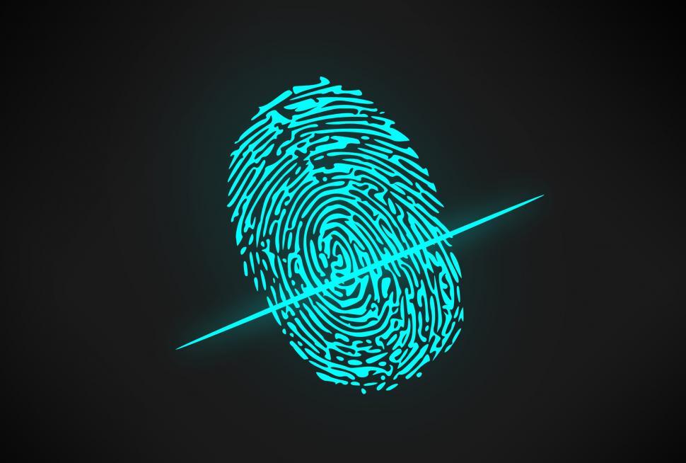 Download Free Stock Photo of Biometric Authentication Software - Fingerprint 