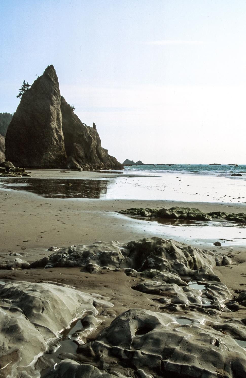 Free Image of Ruby Beach and Jagged Rock Formation 