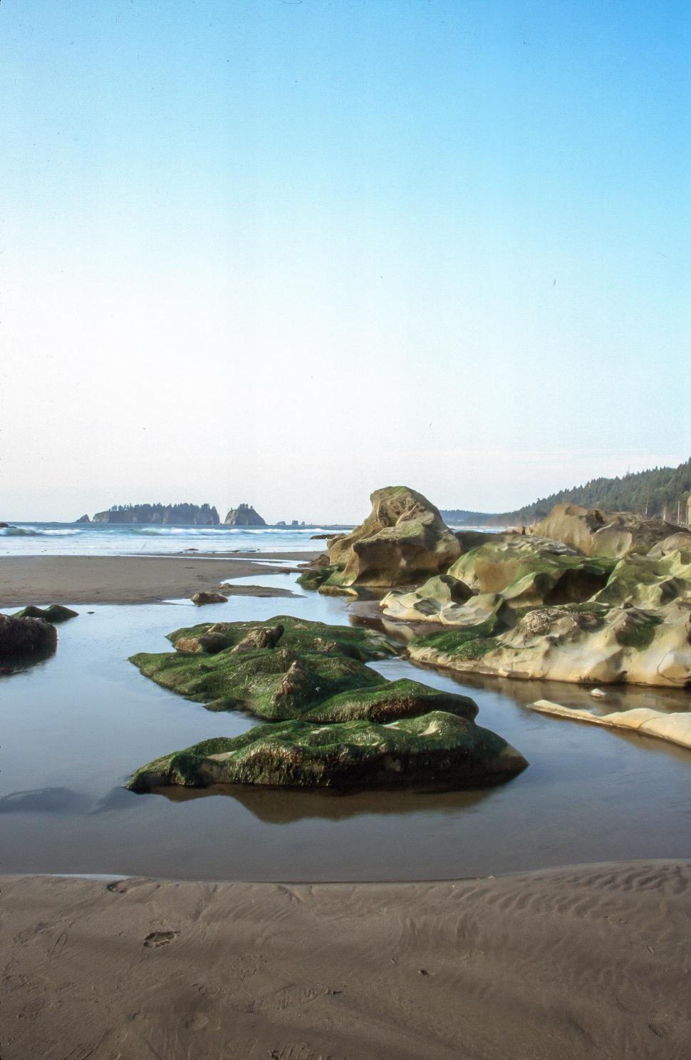 Free Image of Eroded Rock Formation at Ruby Beach 