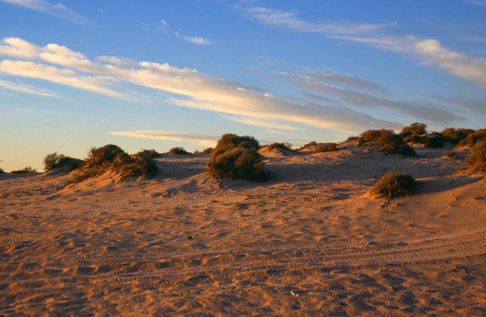 Free Image of Sand Dunes 