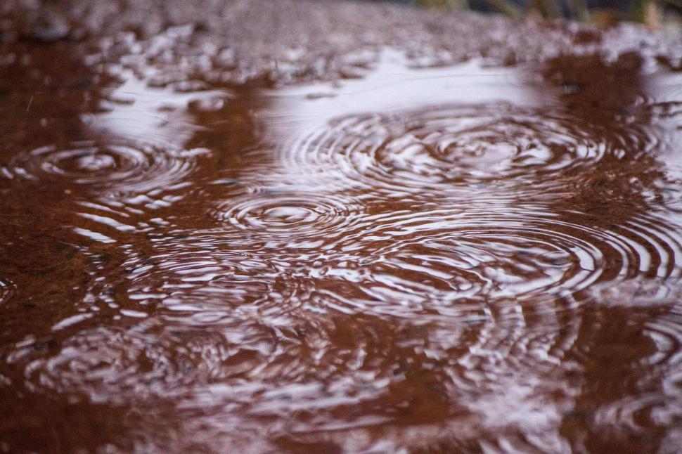 Free Image of Rain drops on water puddle 