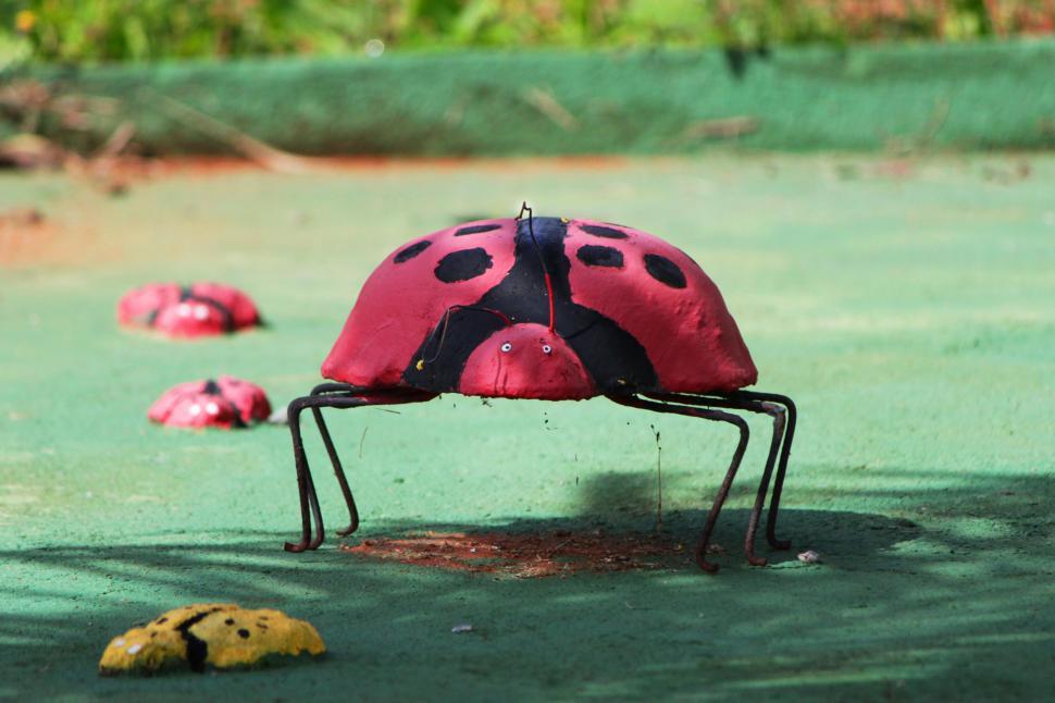 Free Image of Concrete ladybug 