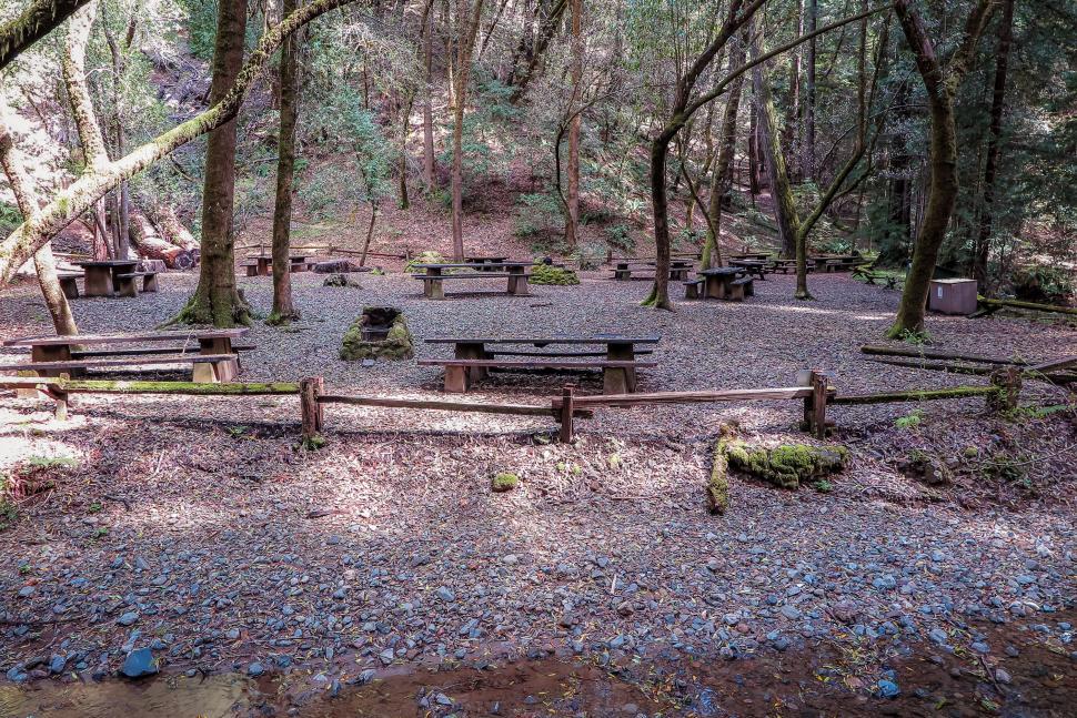 Free Image of Picnic area in the forest 