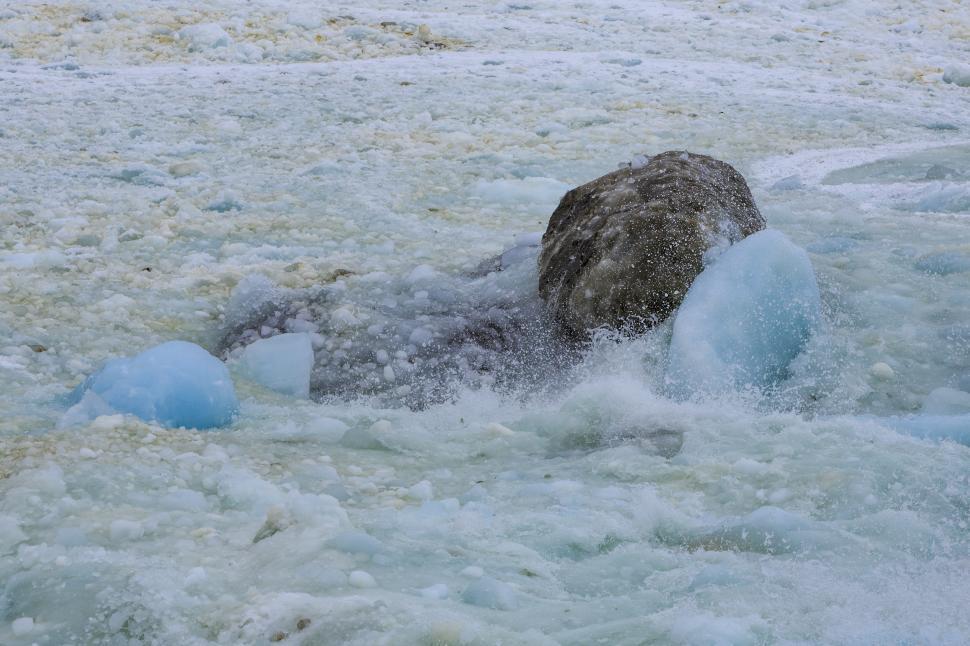 Free Image of Ice and Rocks 