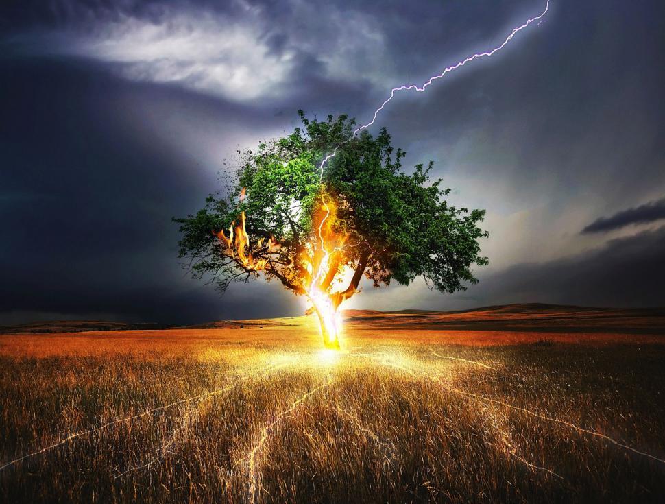 Free Image of Tree Stands in Field Amidst Lightning Strikes 