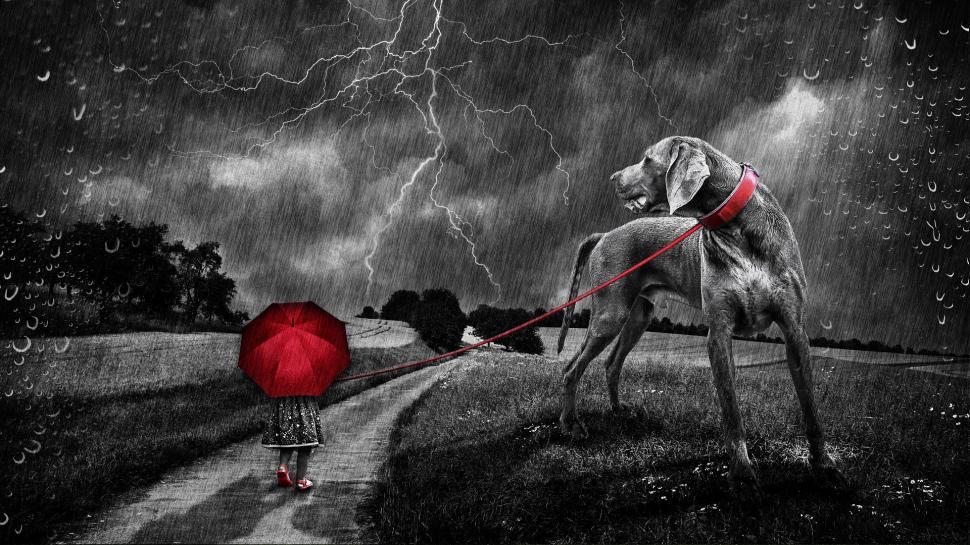 Free Image of Dog Pulling Red Umbrella 