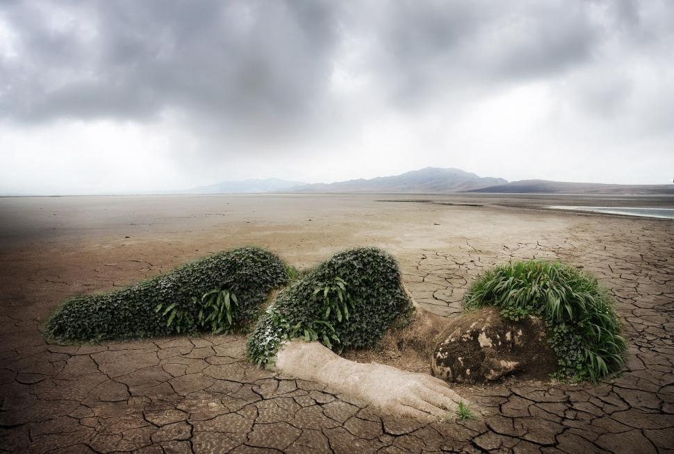 Free Image of Arid Desert Landscape With Grass Sprouting 