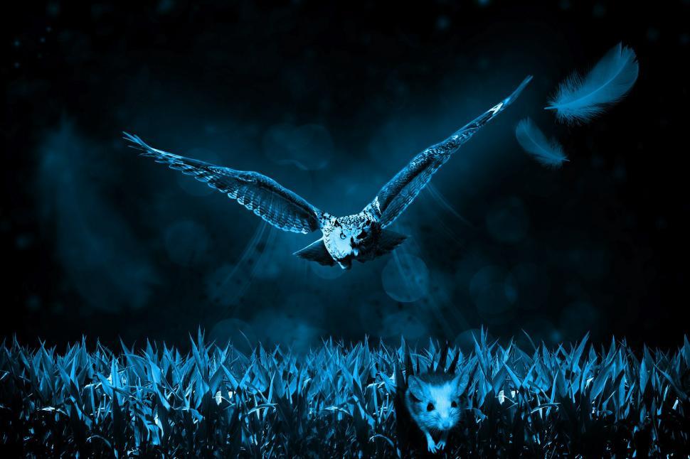 Free Image of Majestic Owl Soaring Above Verdant Field 